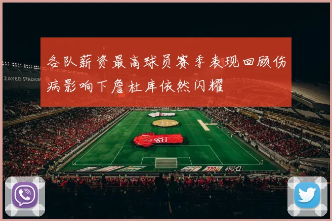 各队薪资最高球员赛季表现回顾伤病影响下詹杜库依然闪耀